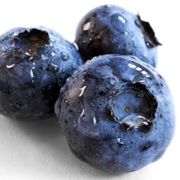 Freeze Dried Blueberries 15g - Calia Australia Pty Ltd