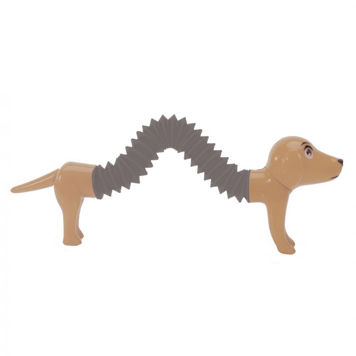 Springy Sausage Dog - Calia