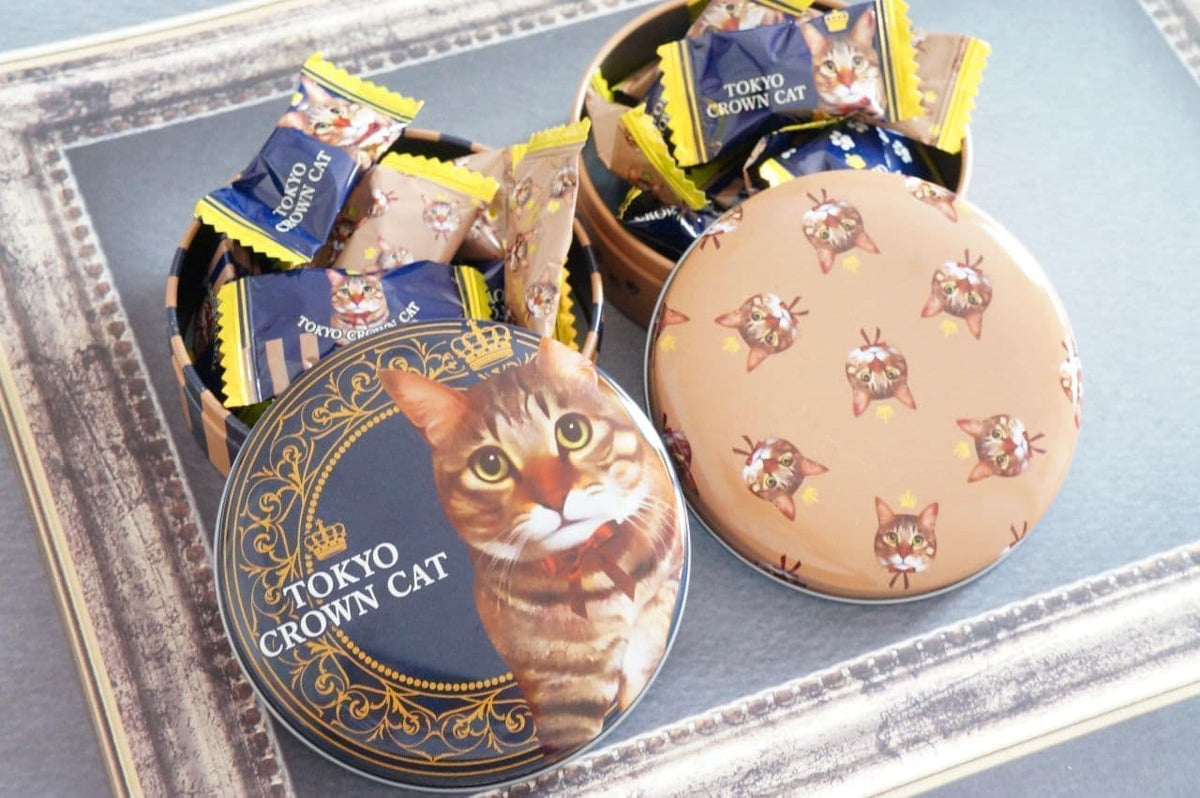 Tokyo crown cat - Calia